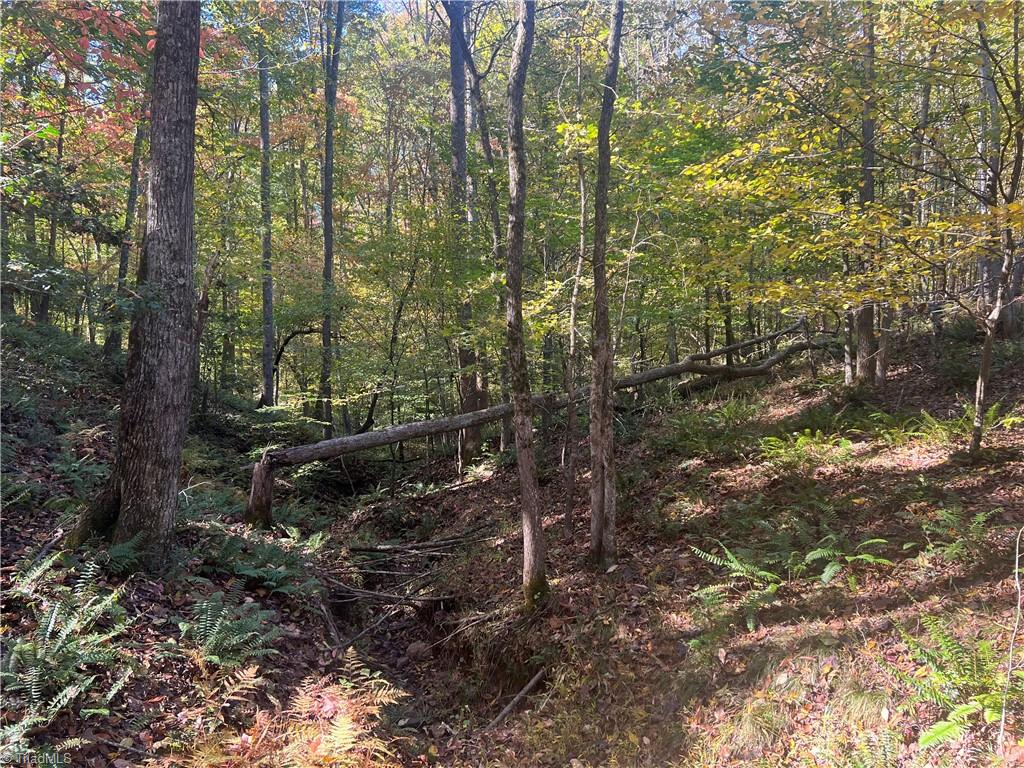9982 Sprinkle Ferry Road Pfafftown, NC 27040 - Photo 6 of 7 Gallery Image 6