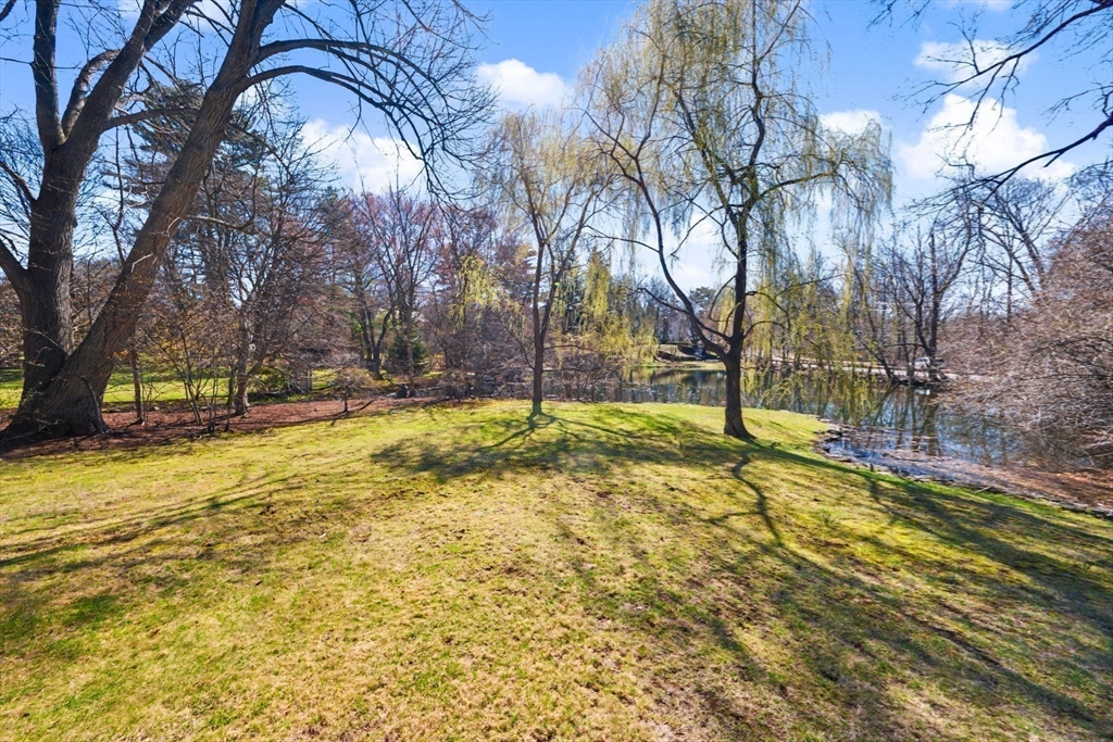 24 Radcliff Road Newton, MA 02468 - Photo 36 of 42