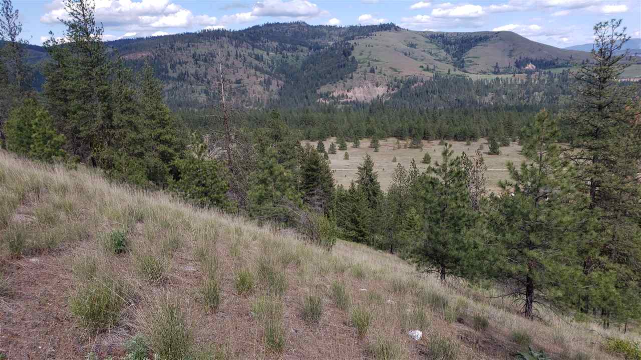 Lot 2 Saddle Ridge Road Kettle Falls, WA 99141 - Photo 2 of 7 Gallery Image 2