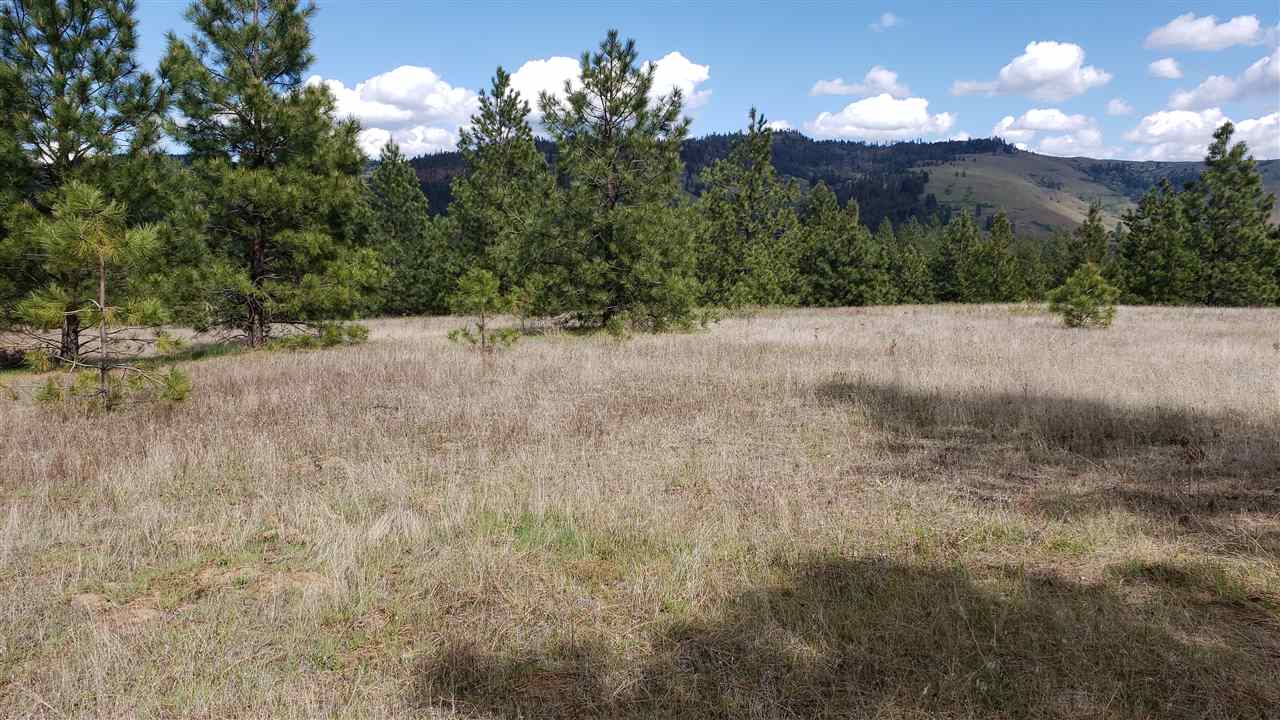 Lot 2 Saddle Ridge Road Kettle Falls, WA 99141 - Photo 3 of 7 Gallery Image 3