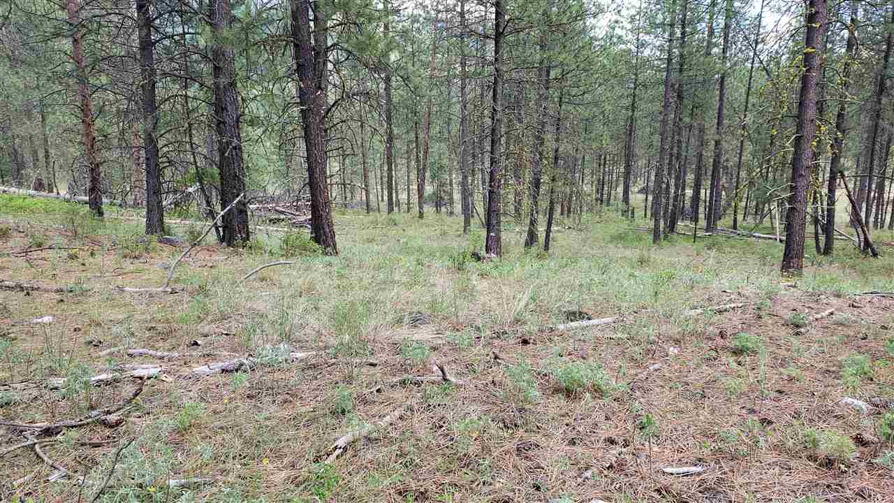 Lot 2 Saddle Ridge Road Kettle Falls, WA 99141 - Photo 5 of 7 Gallery Image 5