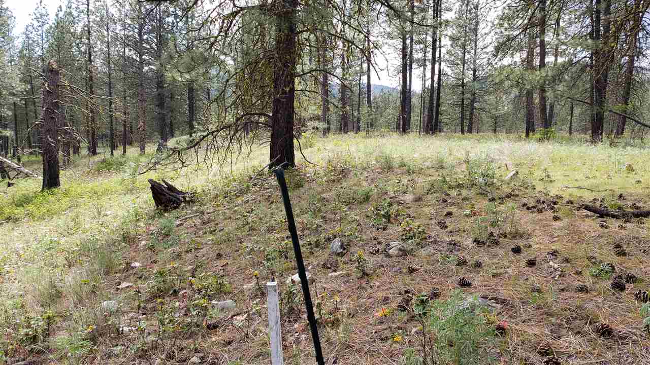 Lot 2 Saddle Ridge Road Kettle Falls, WA 99141 - Photo 6 of 7 Gallery Image 6
