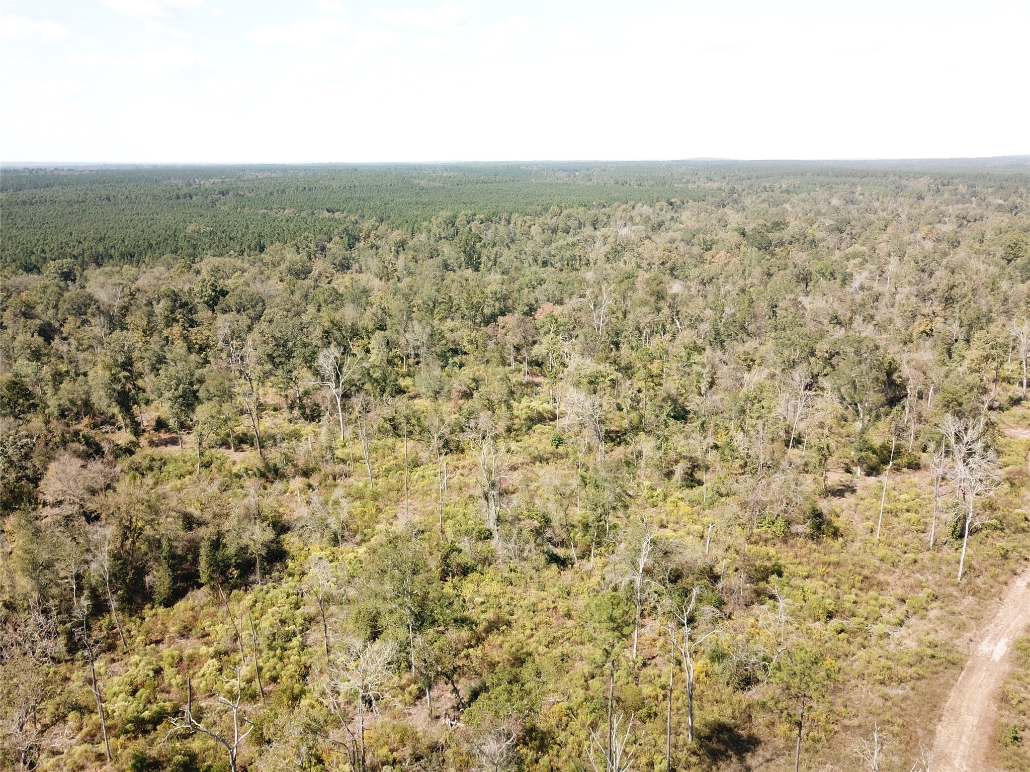 a view of city and mountain