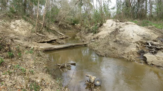 a view of lake with trees