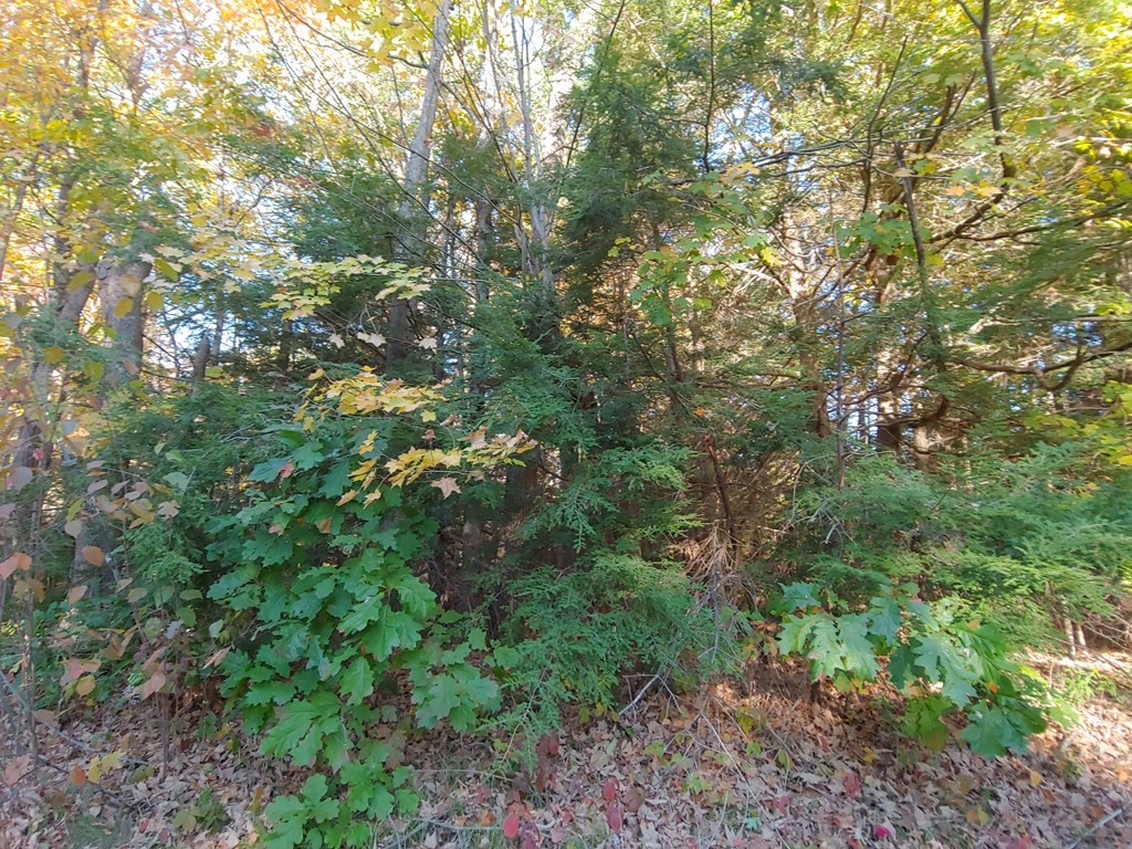 0 Apple Road Brimfield, MA 01010 - Photo 2 of 3 Gallery Image 2