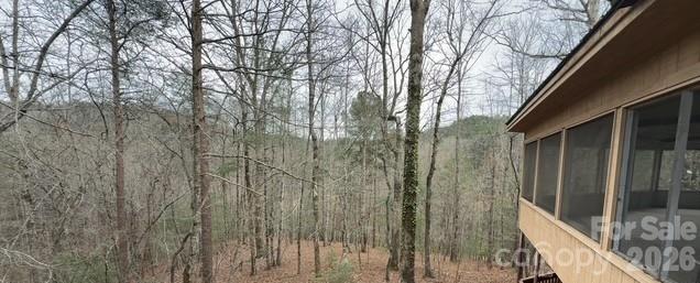 388 Island Creek Road Lake Lure, NC 28746 - Photo 10 of 20