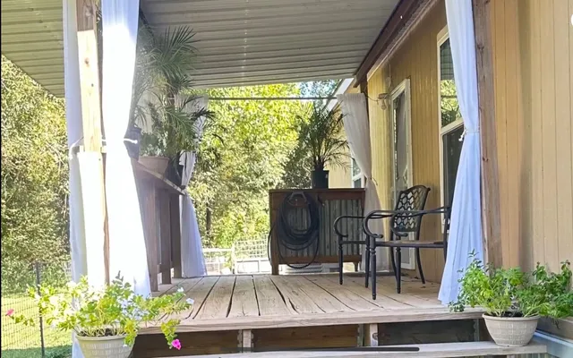 a view of a trees in a backyard