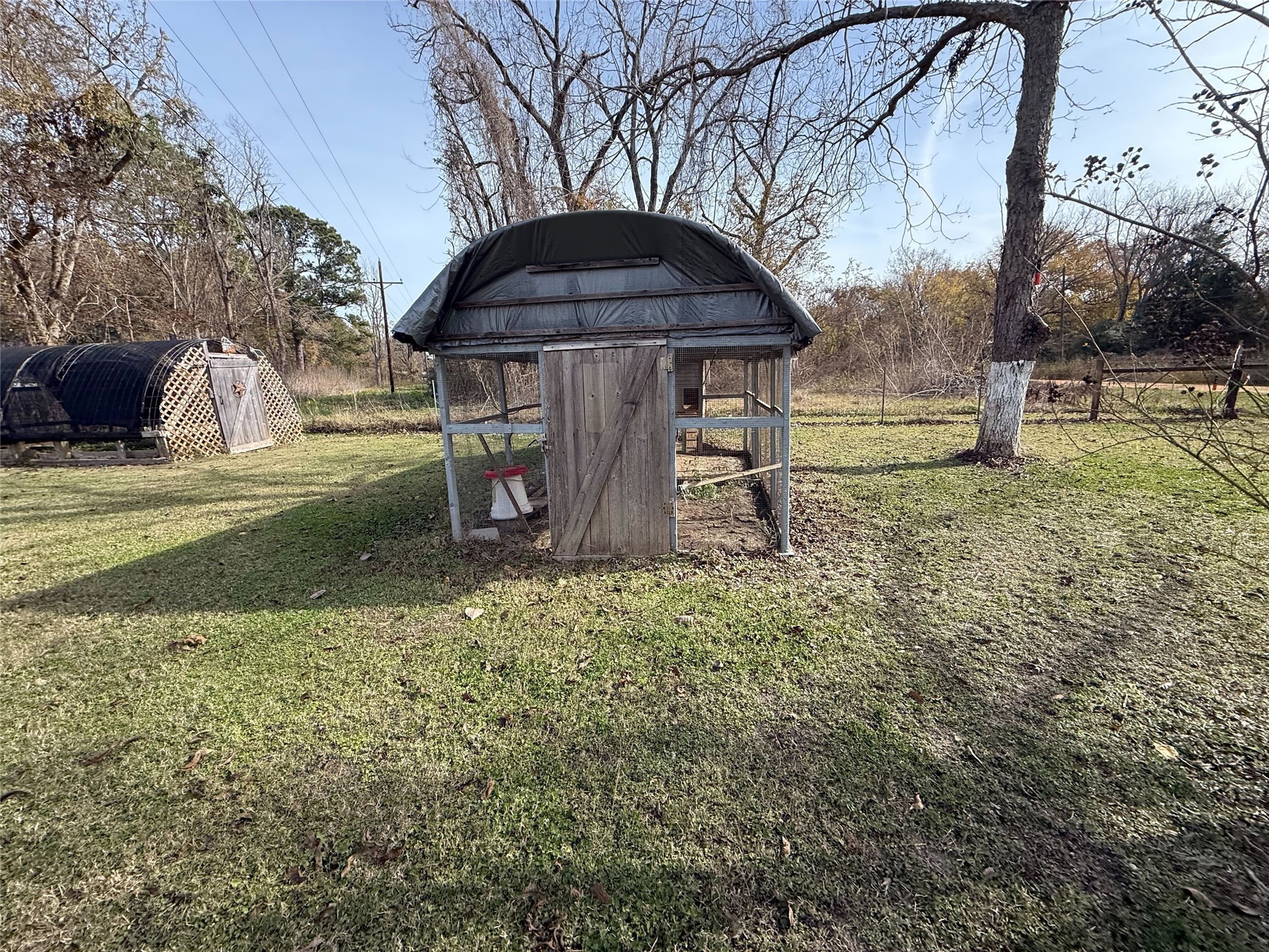 181 Janning Street Coldspring, TX 77331 - Photo 35 of 49 a view of a wooden house with a yard and large trees