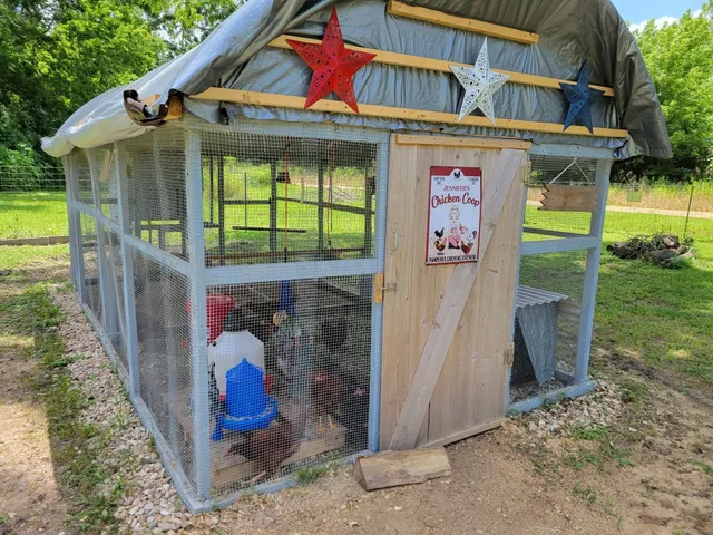 a view of backyard with wooden fence and large trees