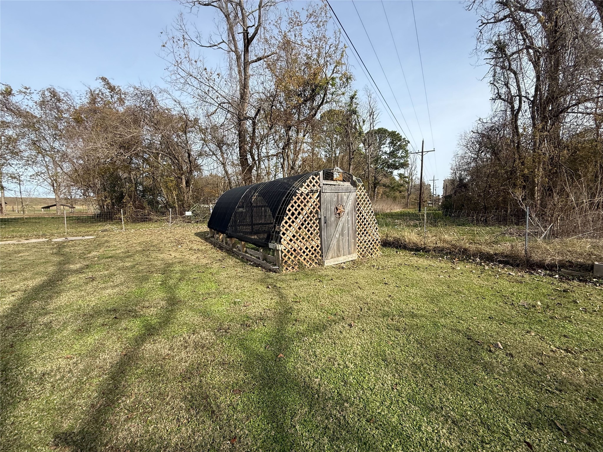 181 Janning Street Coldspring, TX 77331 - Photo 38 of 49 a view of backyard with wooden fence and large trees