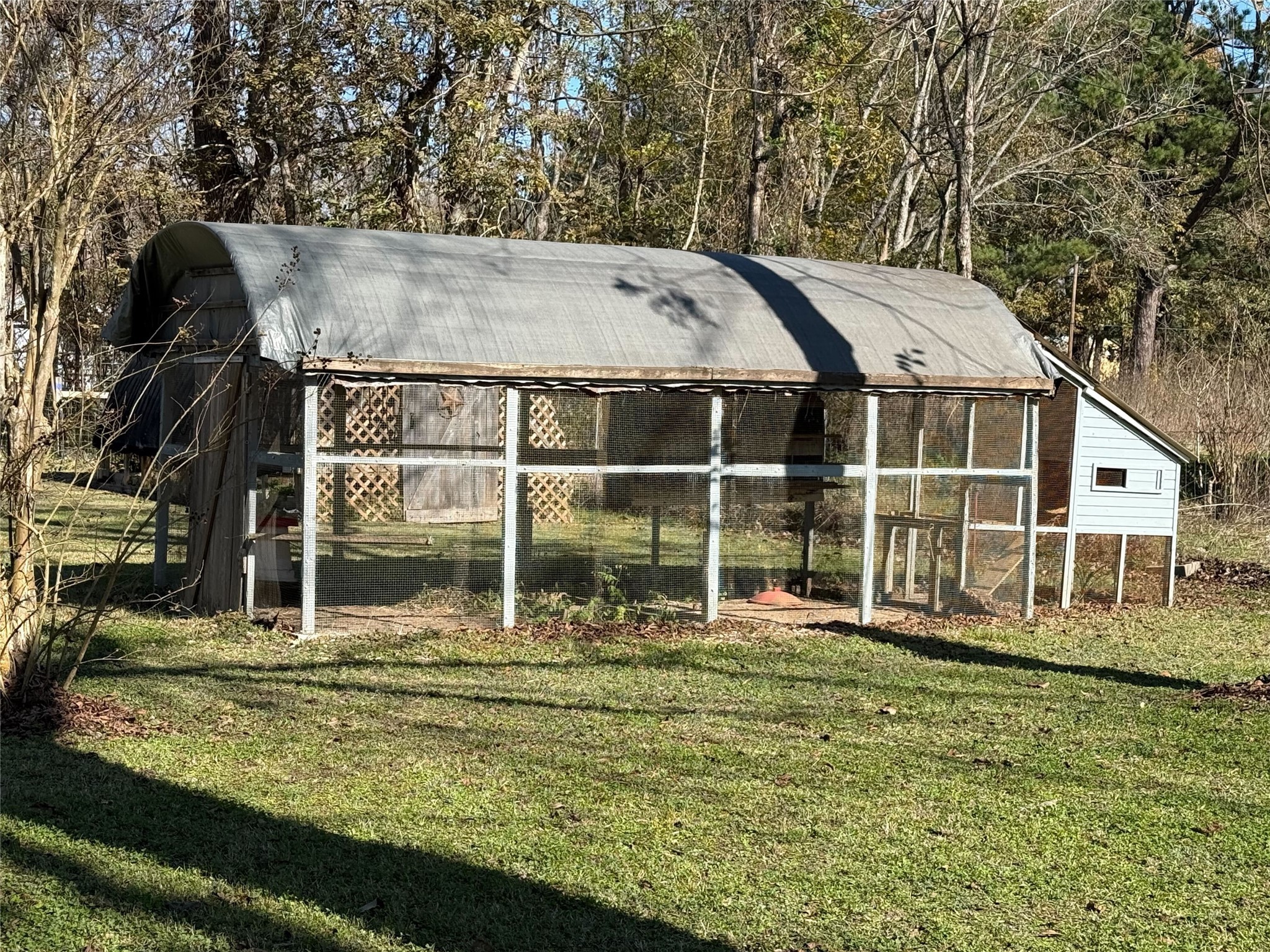 181 Janning Street Coldspring, TX 77331 - Photo 45 of 49 a view of a house with a yard