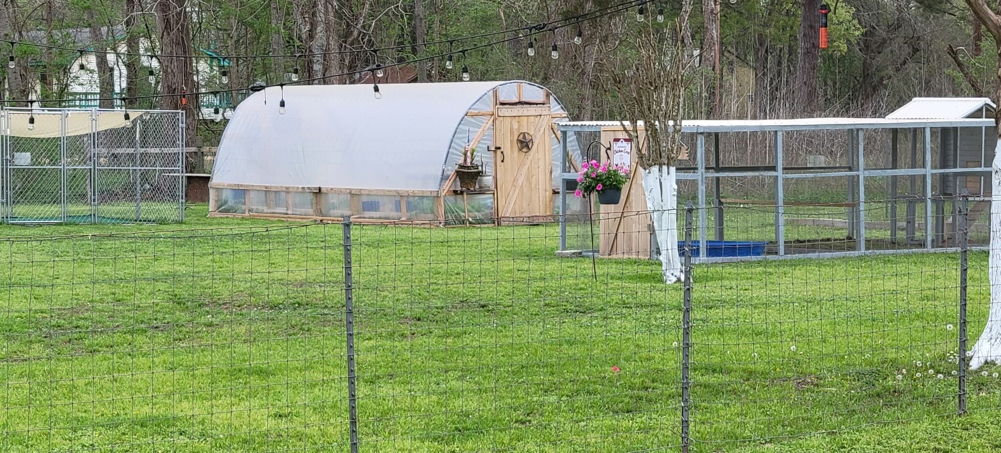181 Janning Street Coldspring, TX 77331 - Photo 49 of 49 a view of a house with backyard