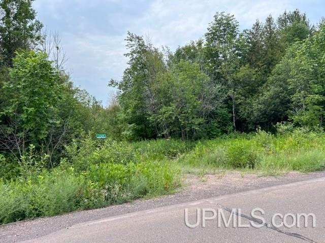 21569 Coal Dock Road Hancock, MI 49930 - Photo 16 of 31 Gallery Image 16