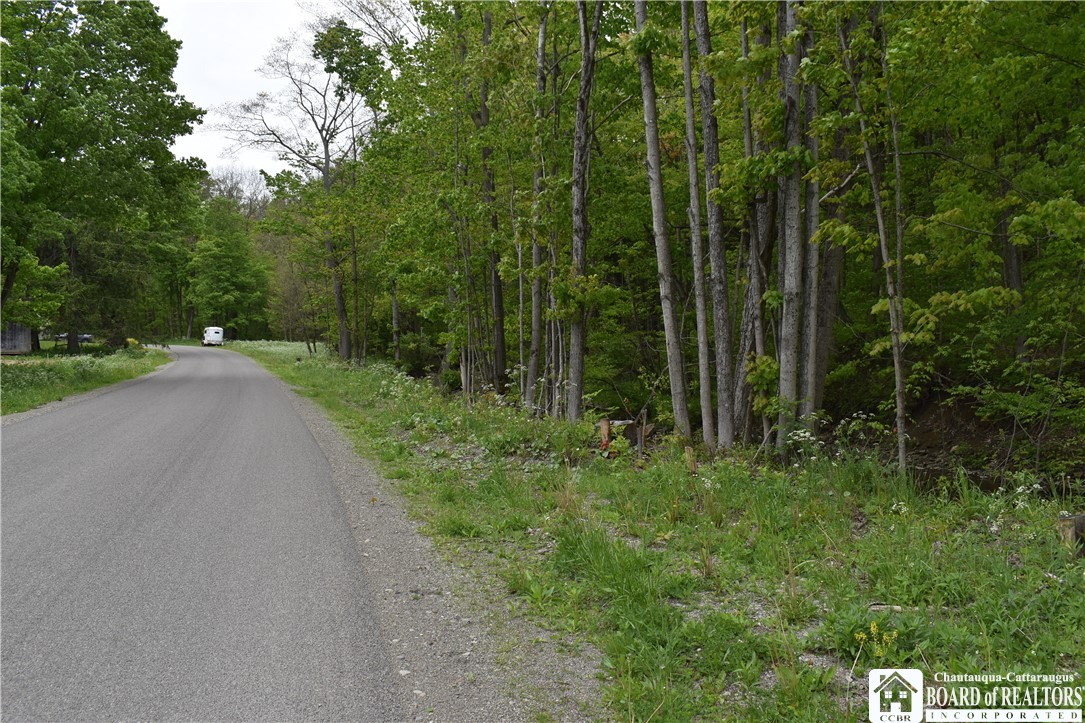 0 Harris Hollow Road Gerry, NY 14740 - Photo 21 of 23