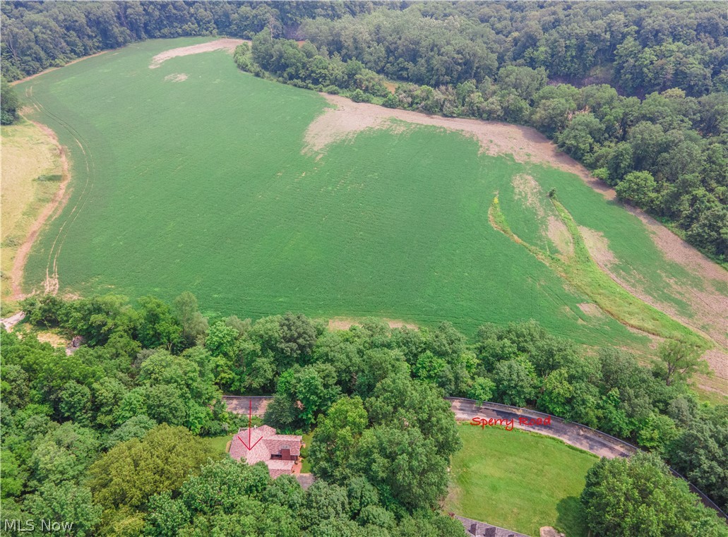 52130 Sperry Road Vermilion, OH 44089 - Photo 4 of 29 Beautiful views from your deck!