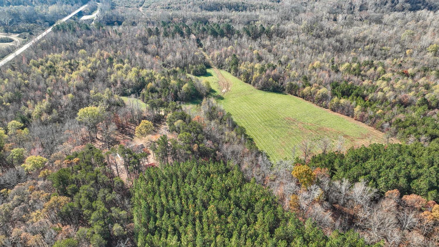 12098 Scuffletown Road Randolph, VA 23962 - Photo 25 of 30 a view of a yard with a trees