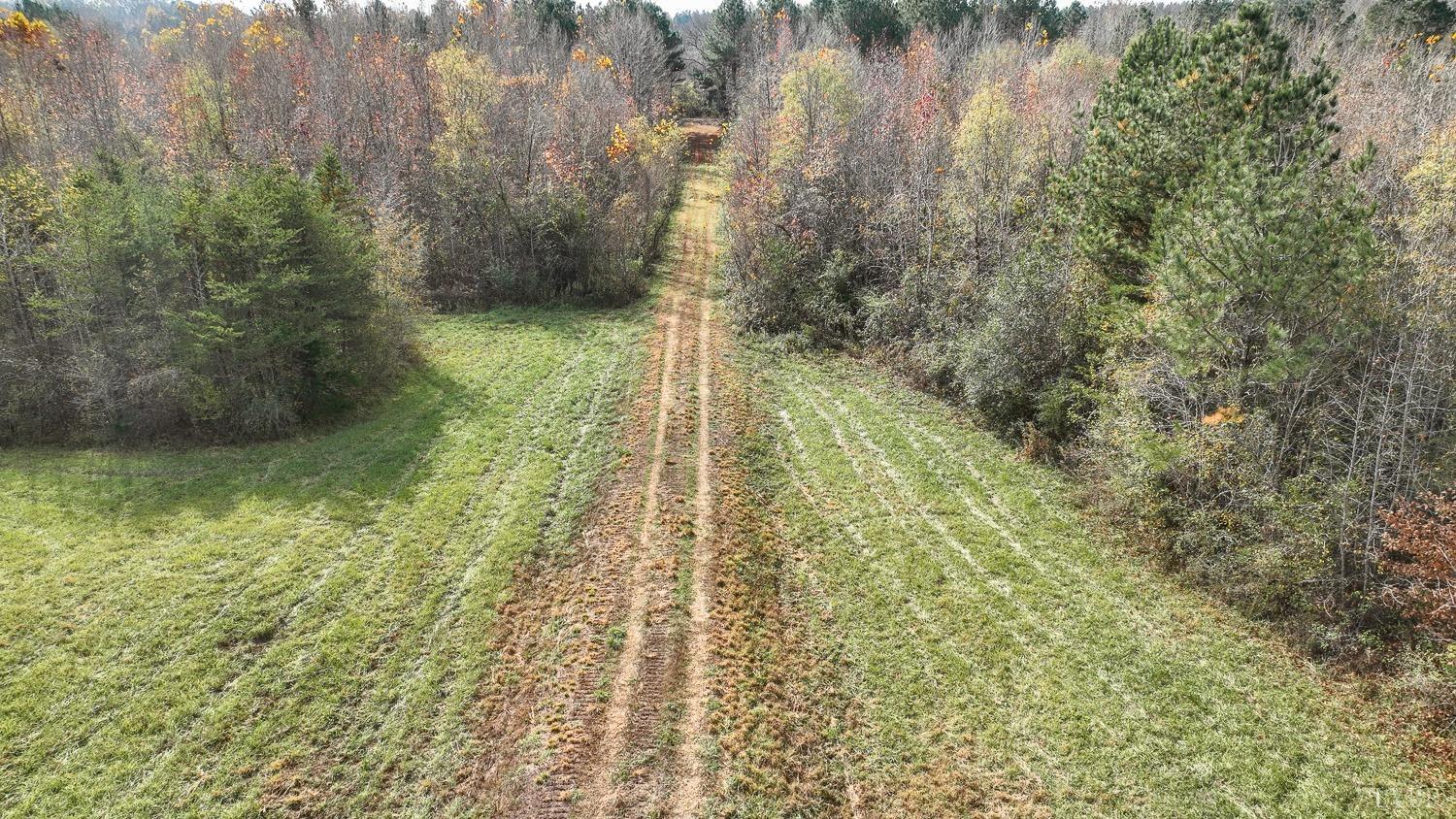 12098 Scuffletown Road Randolph, VA 23962 - Photo 10 of 30 a view of a yard