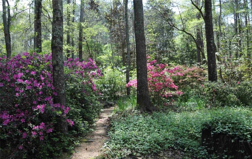 385 Vaughn Road Newnan, GA 30265 - Photo 2 of 70