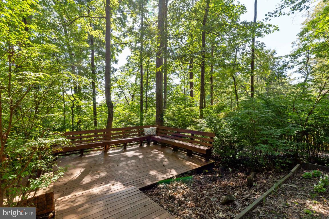 5230 Wendy Way Springfield, VA 22151 - Photo 5 of 44 Gallery Image 5