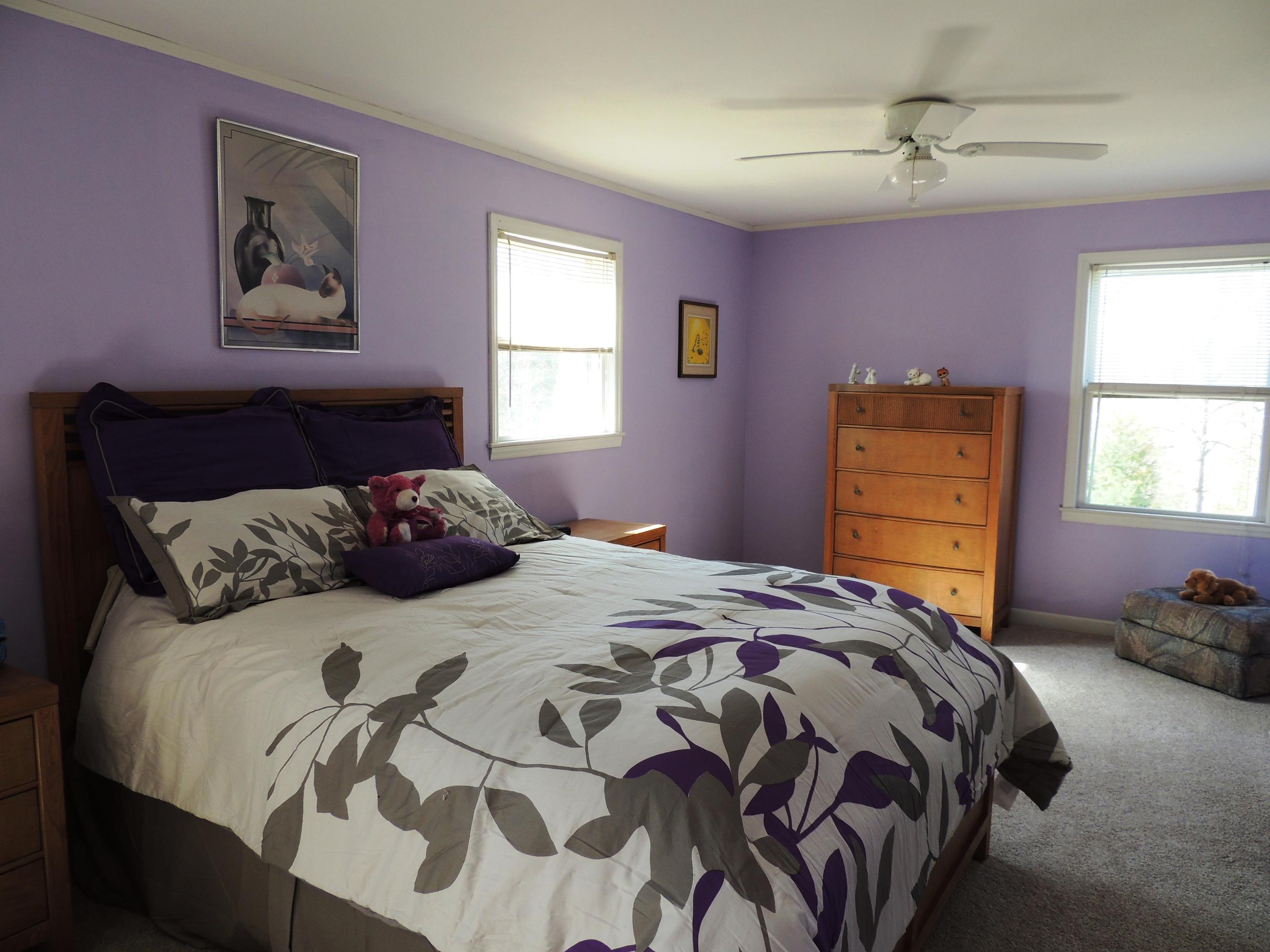 165 McNeil Mill Road Rocky Mount, VA 24151 - Photo 19 of 33 Master Bedroom