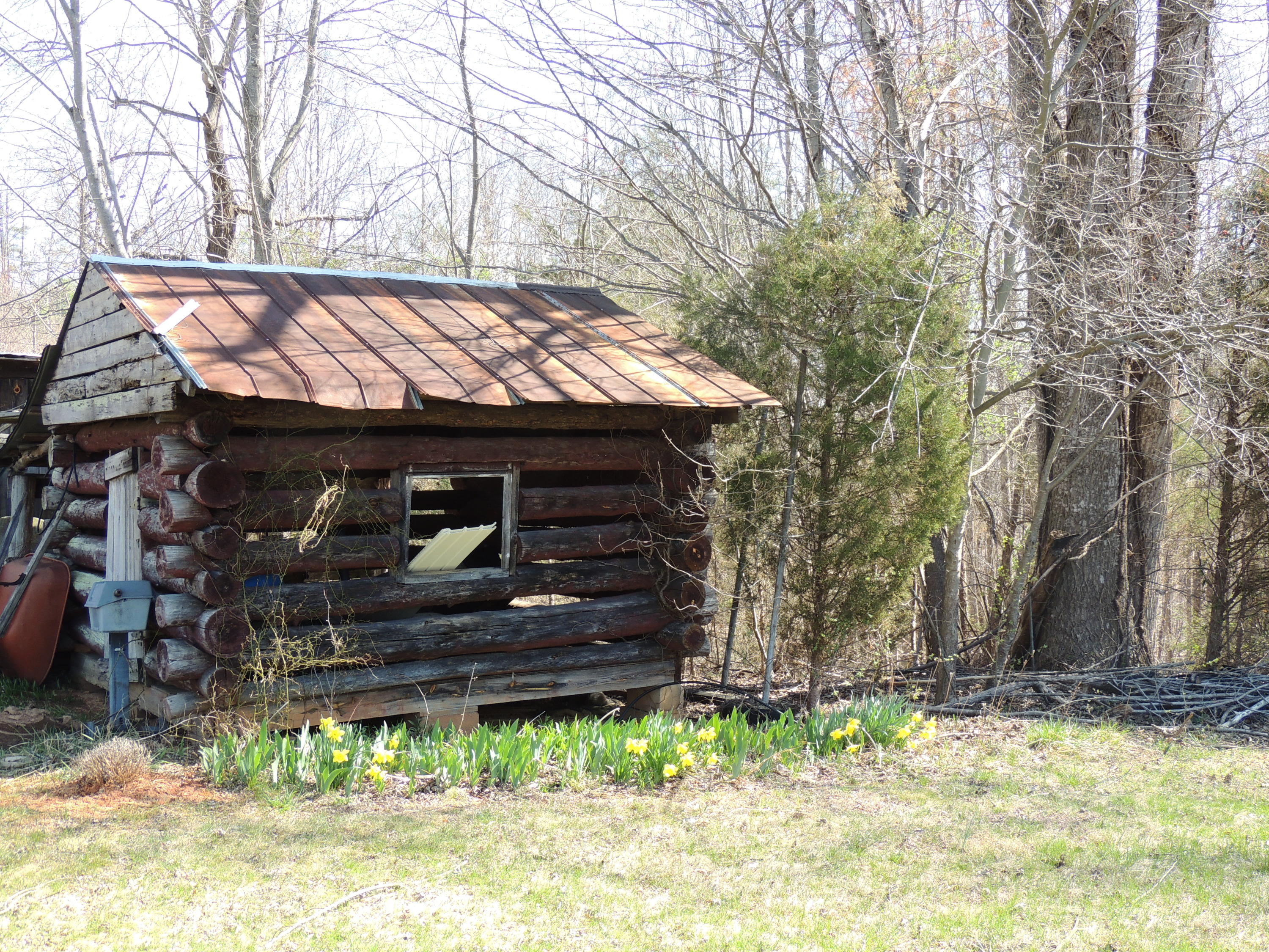 165 McNeil Mill Road Rocky Mount, VA 24151 - Photo 32 of 33 Shed
