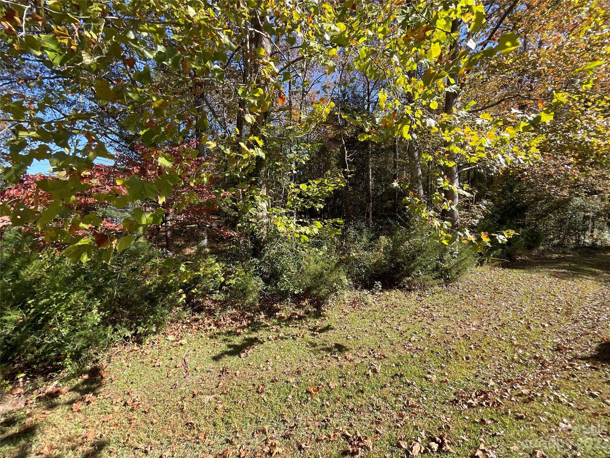 1285 Rainbow Circle Catawba, SC 29704 - Photo 20 of 22 a view of a tree with a tree