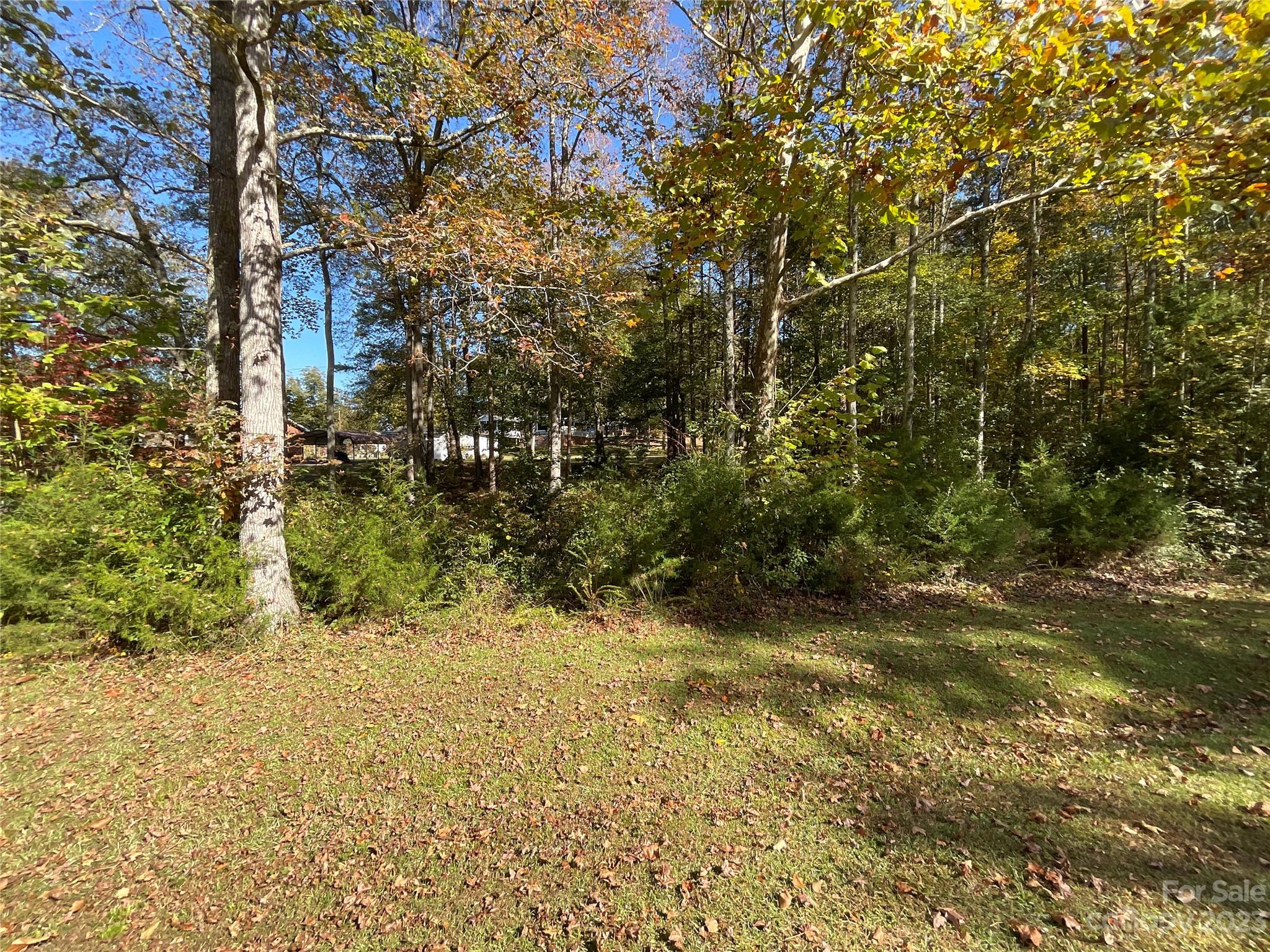 1285 Rainbow Circle Catawba, SC 29704 - Photo 21 of 22 a view of a yard with trees