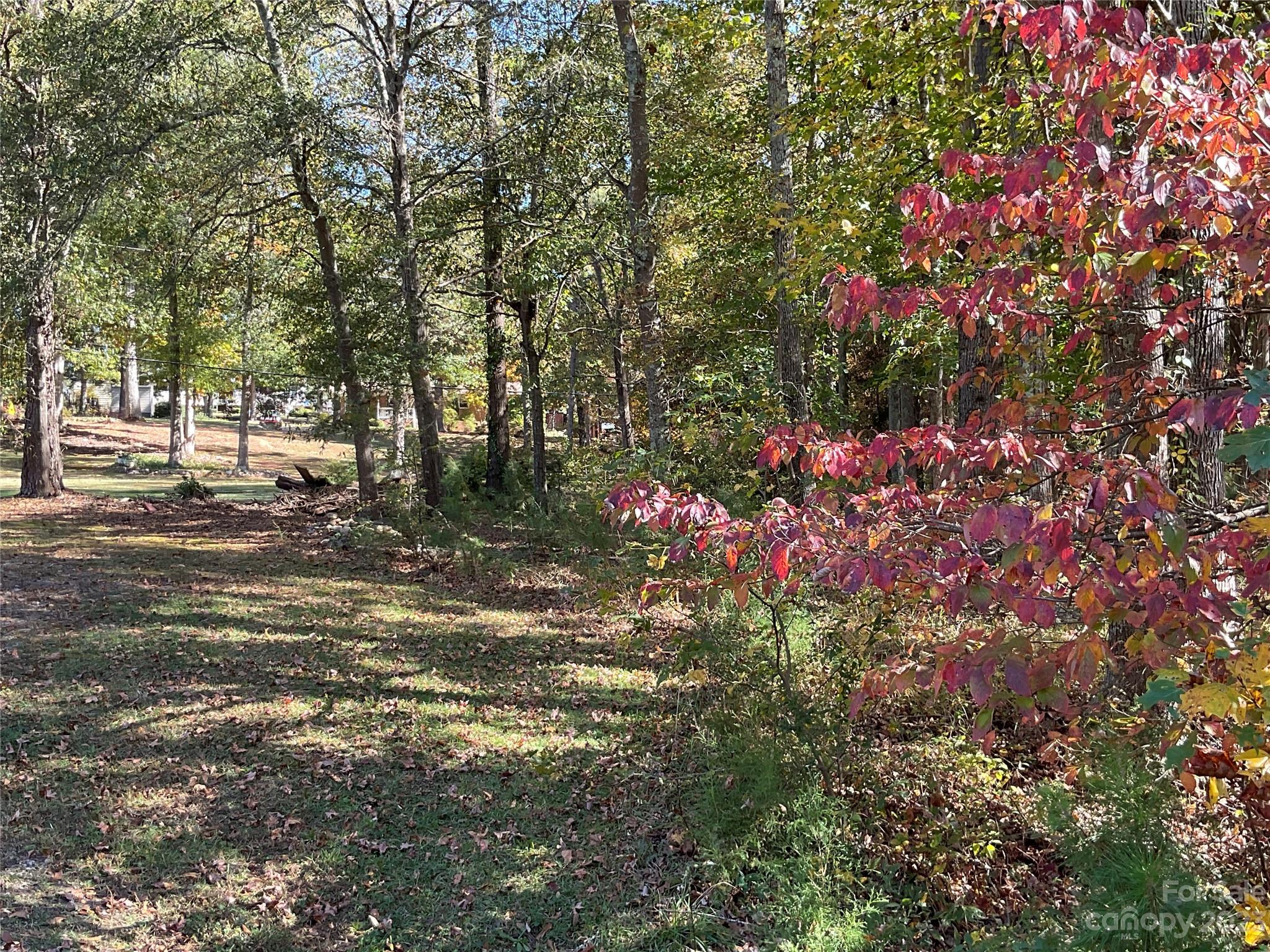 1285 Rainbow Circle Catawba, SC 29704 - Photo 22 of 22 a backyard of a house with lots of green space and fountain