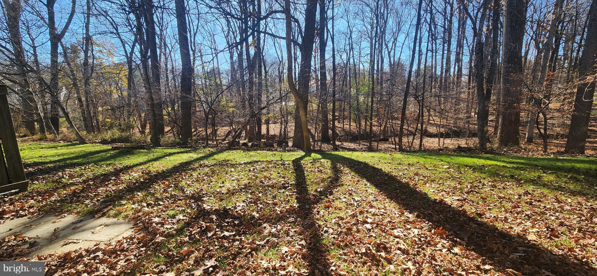 1543 Hugo Circle Silver Spring, MD 20906 - Photo 33 of 36 Rear Exterior. Backs To Woods.
