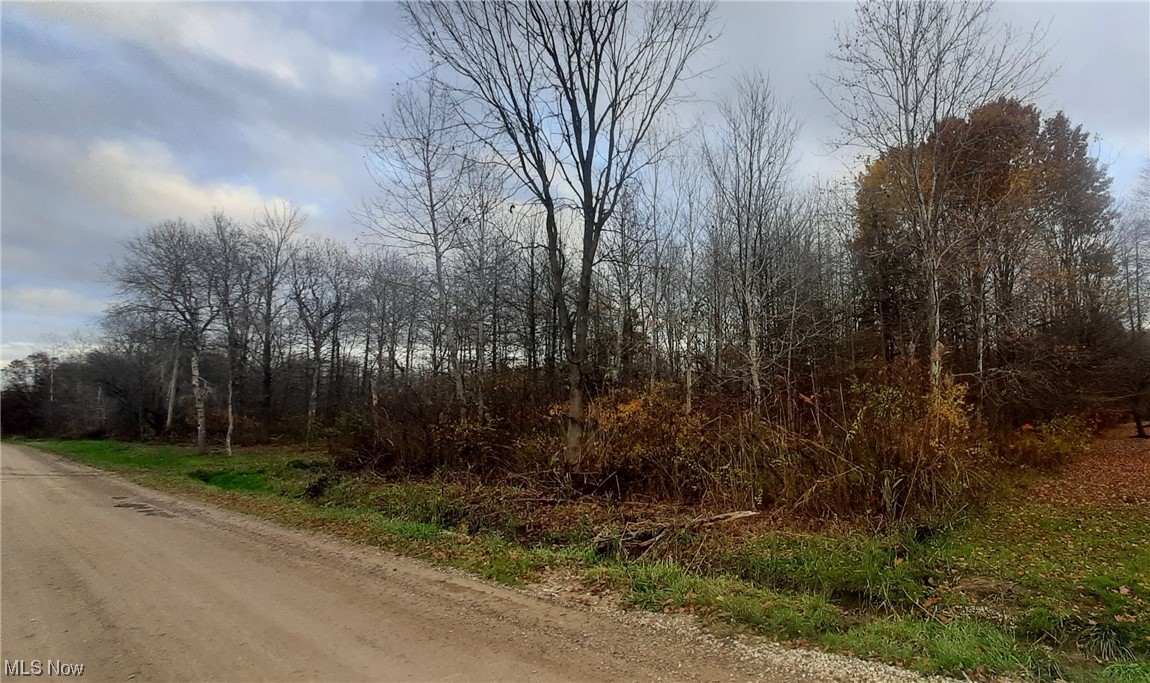 2964 Netcher Road Jefferson, OH 44047 - Photo 7 of 24 View of road