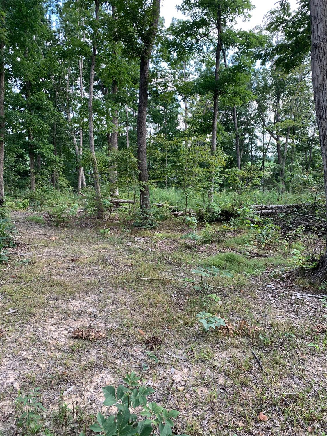 0 Hall Road Flemingsburg, KY 41041 - Photo 6 of 33 Photo 6