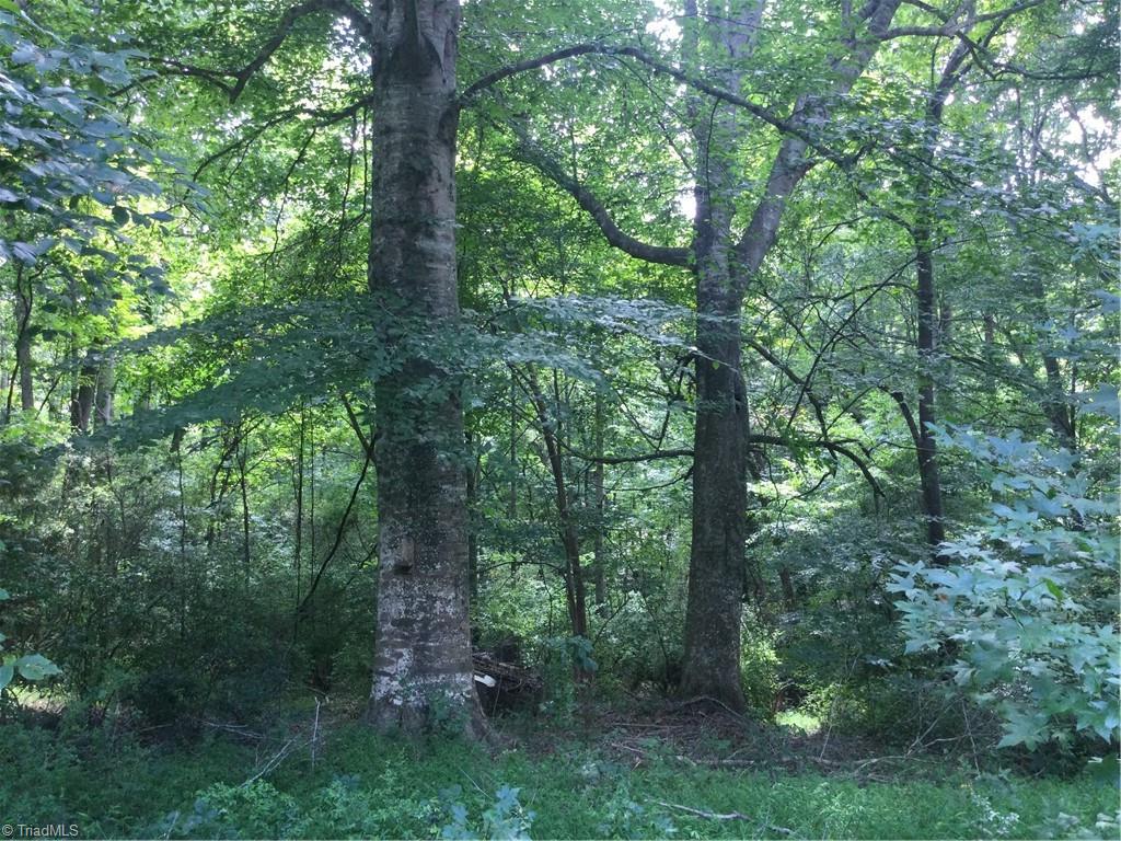 3283 South Jim Minor Road Haw River, NC 27258 - Photo 12 of 16 Nice Crepe Myrtle