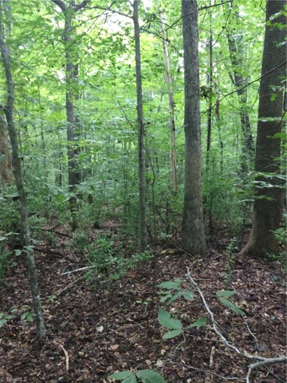 3283 South Jim Minor Road Haw River, NC 27258 - Photo 13 of 16 View of Property