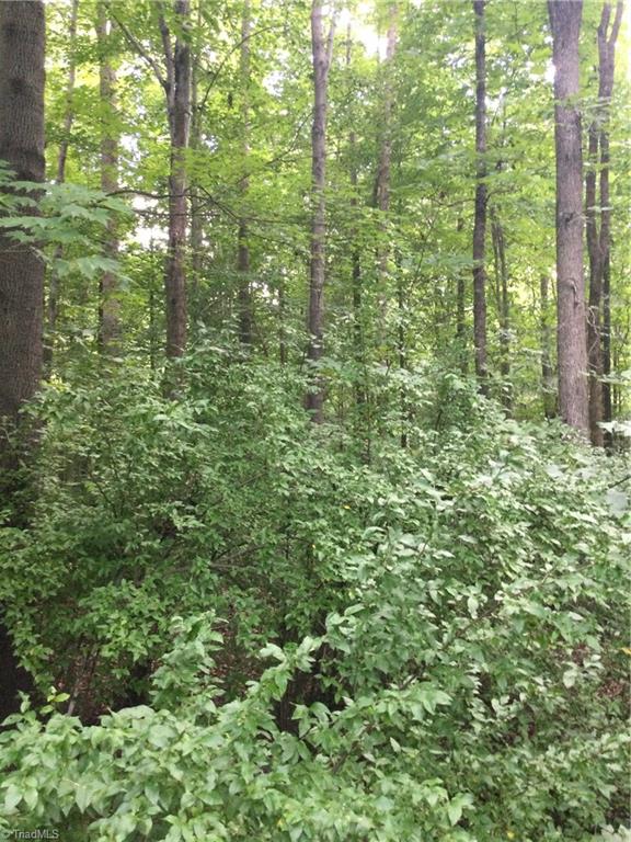 3283 South Jim Minor Road Haw River, NC 27258 - Photo 14 of 16 View of Property