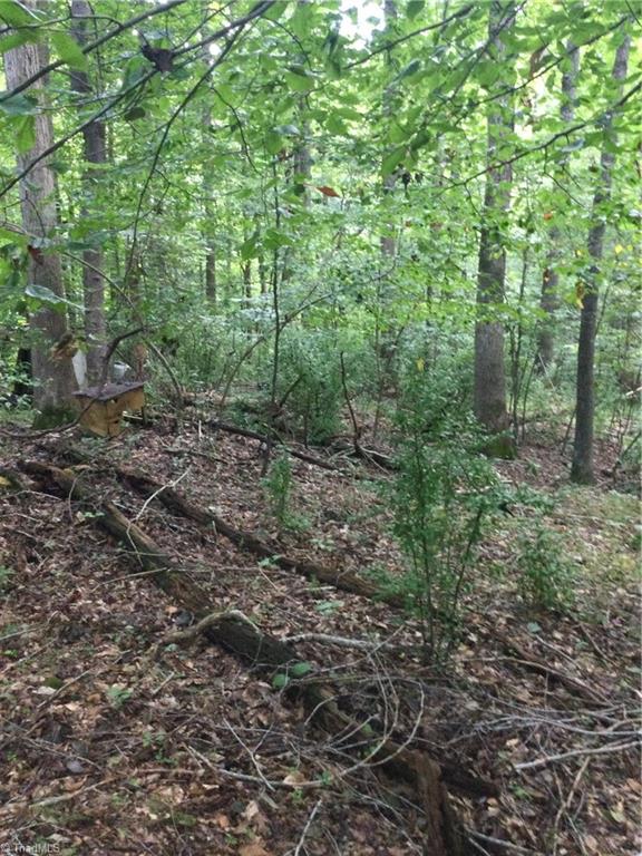3283 South Jim Minor Road Haw River, NC 27258 - Photo 15 of 16 View of Property