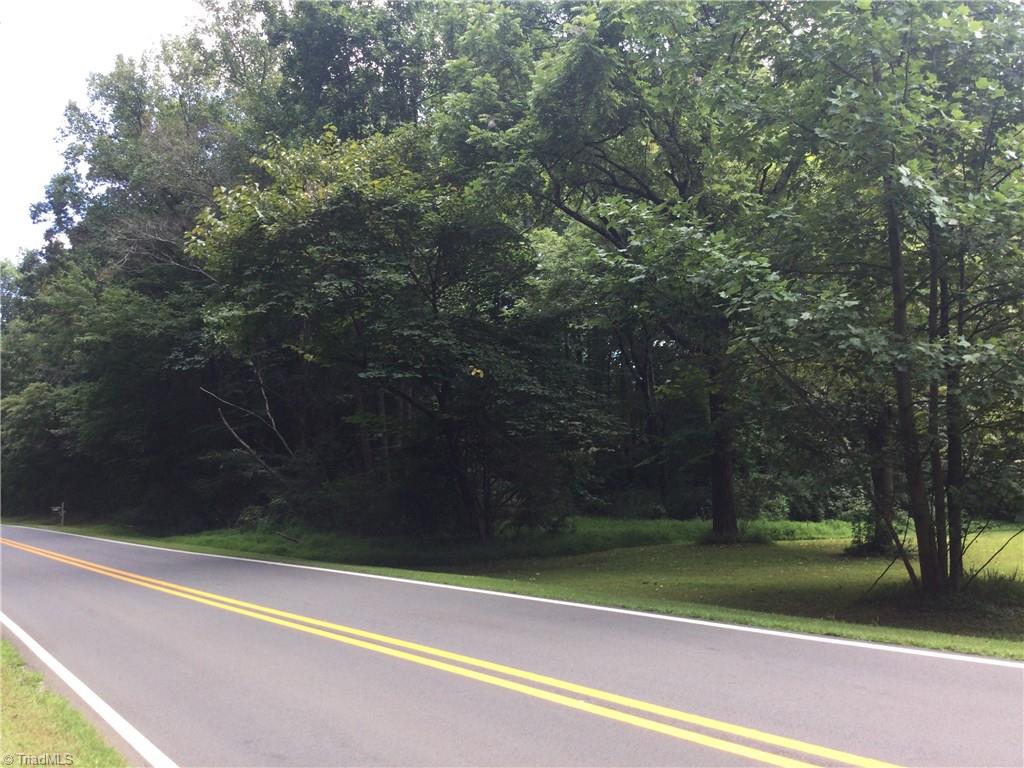 3283 South Jim Minor Road Haw River, NC 27258 - Photo 16 of 16 View of Property along S Jim Minor Road