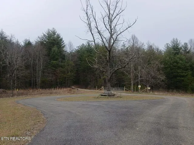 a backyard of a house with trees