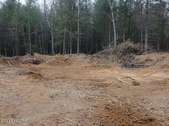 a view of a backyard of a house