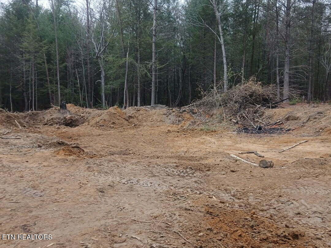 0 Wild Magnolia Jamestown, TN 38556 - Photo 5 of 27 a view of a backyard of a house