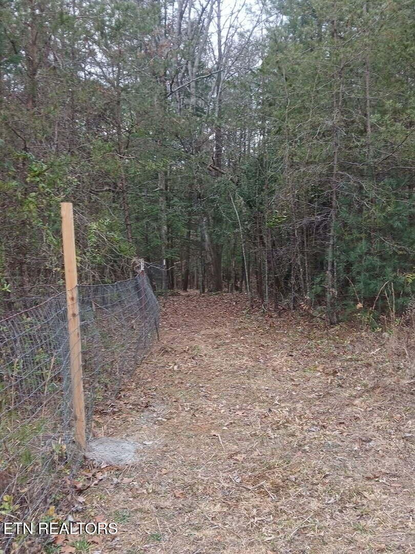 0 Wild Magnolia Jamestown, TN 38556 - Photo 7 of 27 a view of a forest with trees