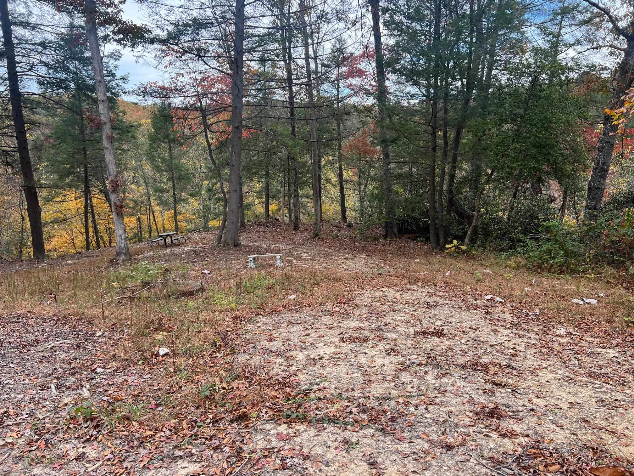 1195 Big Stone Road Sandy Hook, KY 41171 - Photo 6 of 12