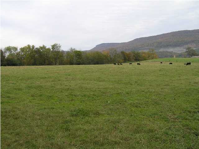 3003 Lower East Valley Road Dunlap, TN 37327 - Photo 4 of 27 Additional Photo