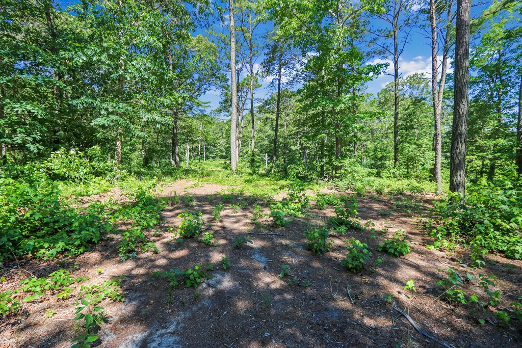 Lot 6 Fleming Road, Unit 6 Horntown, VA 23395 - Photo 18 of 26