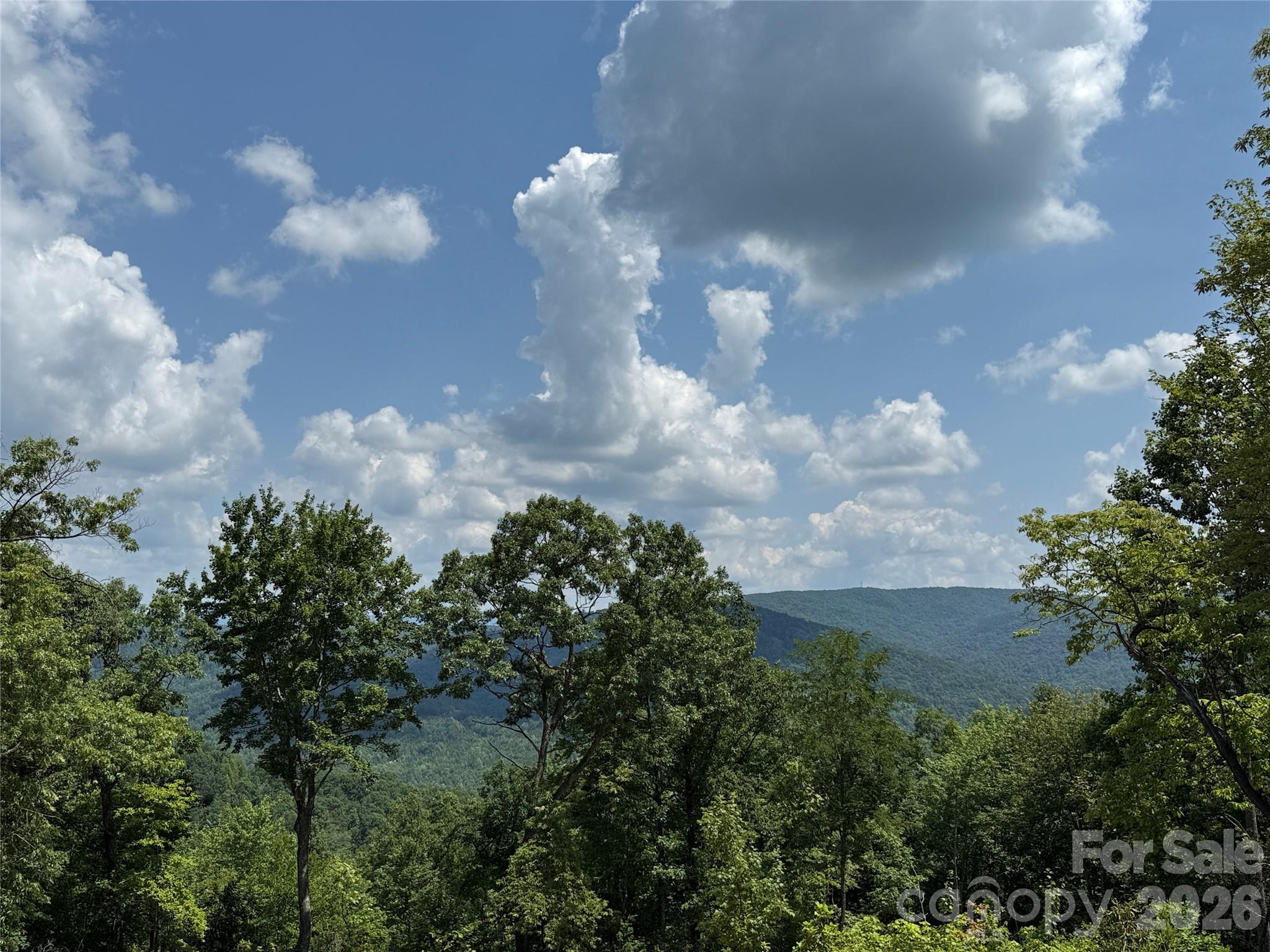 337 Lucas Path Drive, Unit 69 Purlear, NC 28665 - Photo 11 of 44 a view of a big yard
