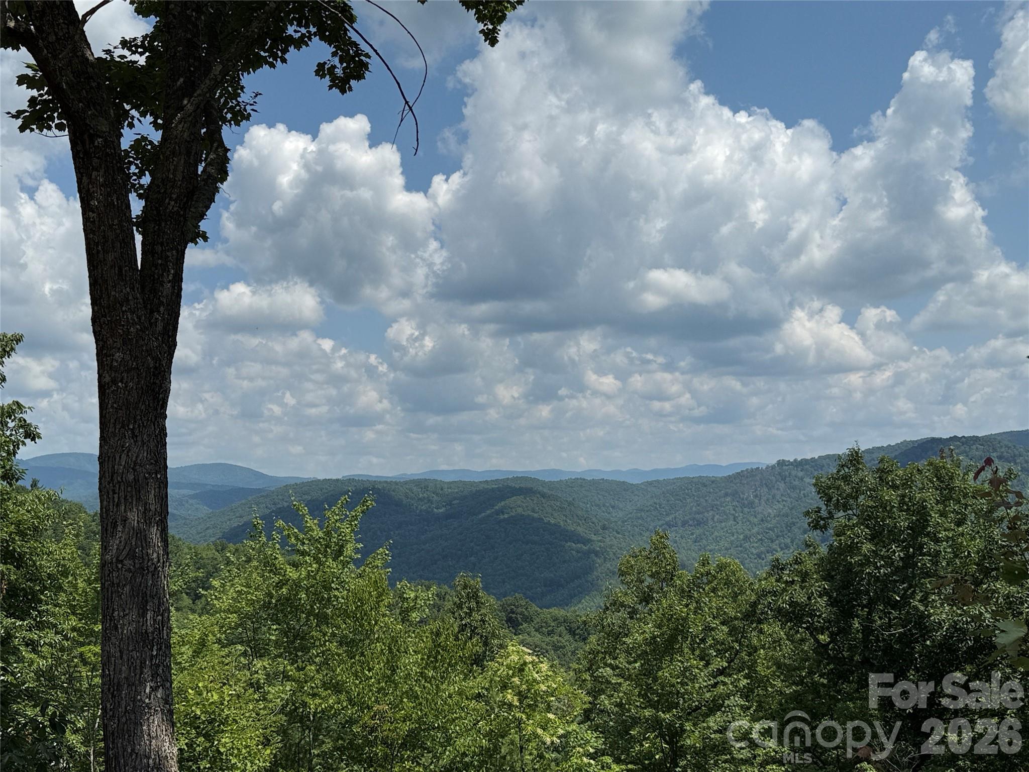 337 Lucas Path Drive, Unit 69 Purlear, NC 28665 - Photo 12 of 44 a view of a yard
