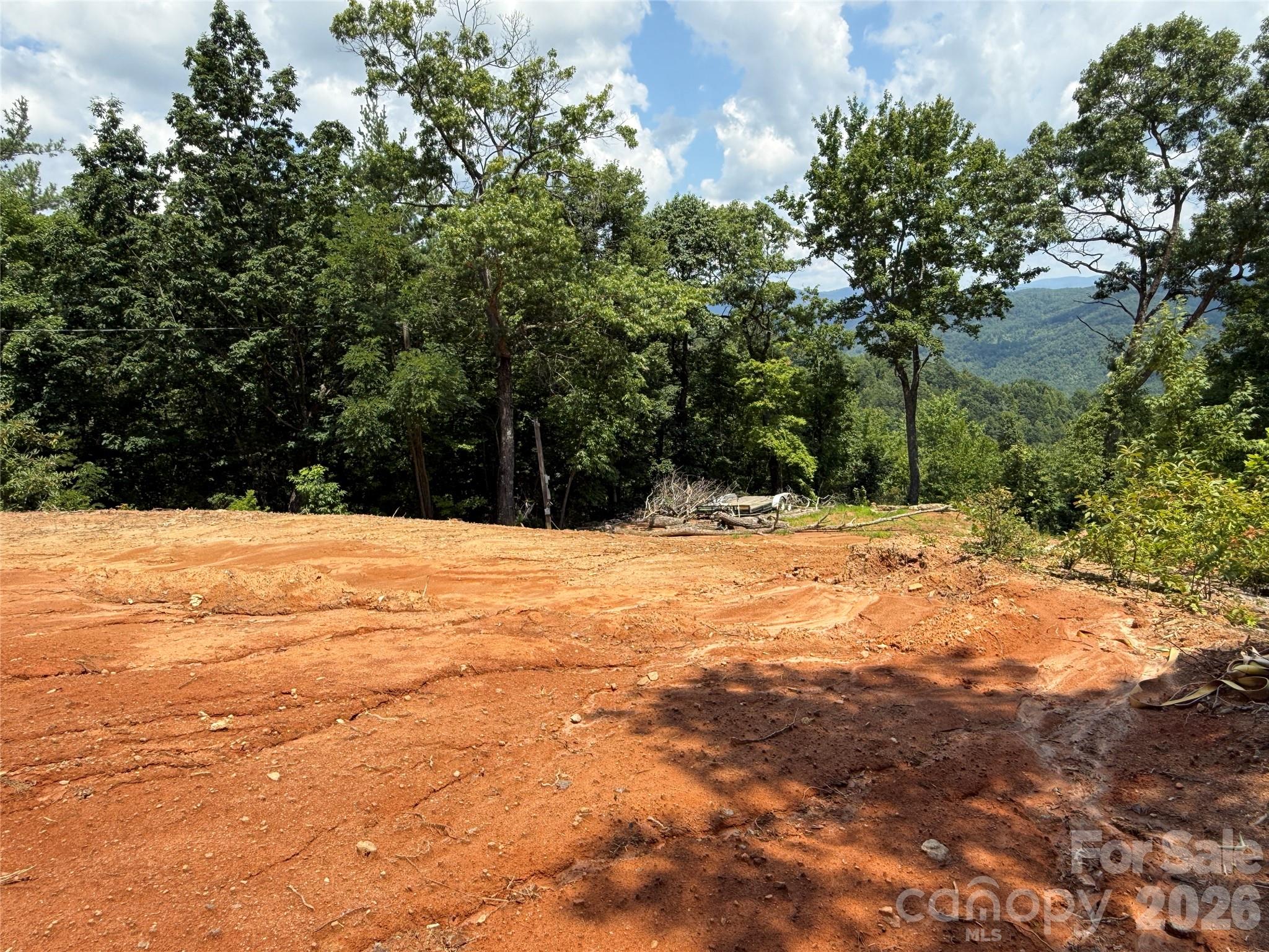 337 Lucas Path Drive, Unit 69 Purlear, NC 28665 - Photo 14 of 44