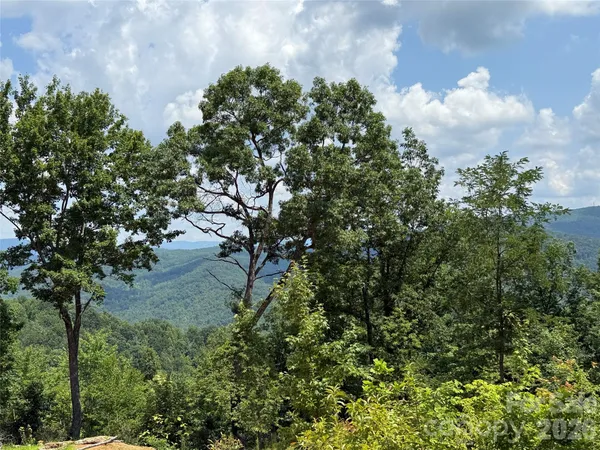 a view of a swimming pool and a yard