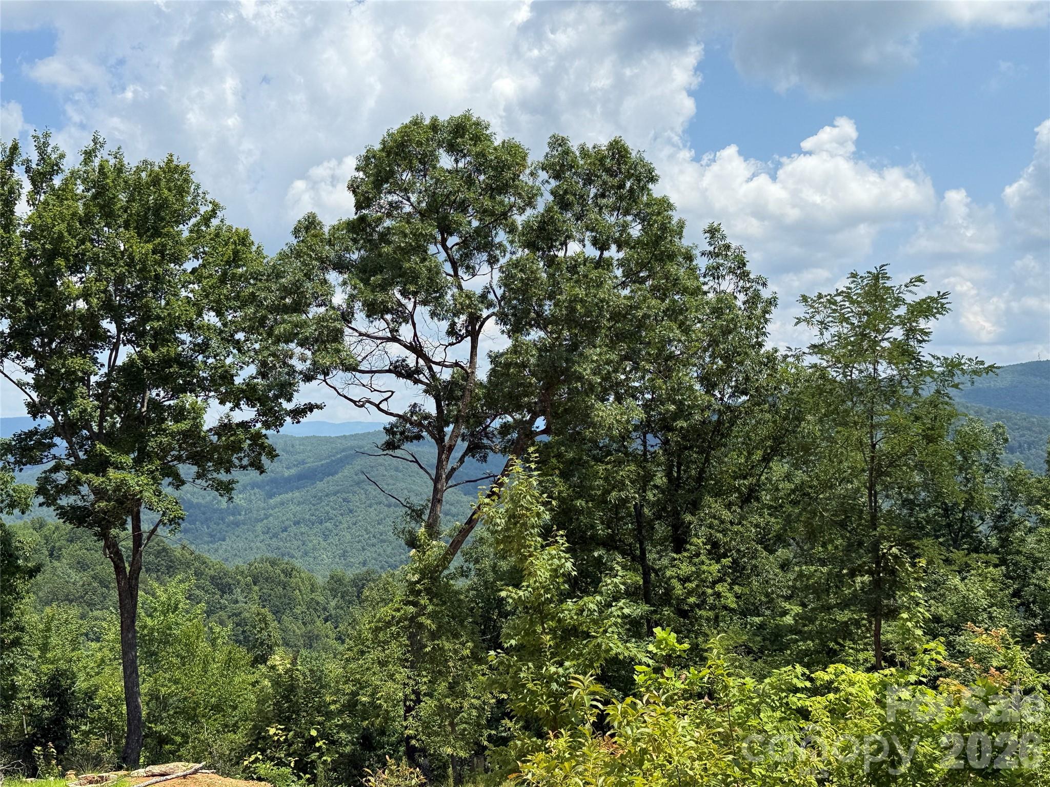337 Lucas Path Drive, Unit 69 Purlear, NC 28665 - Photo 15 of 44 a view of a lake