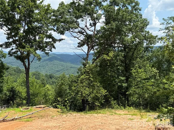 a view of a yard with swimming pool