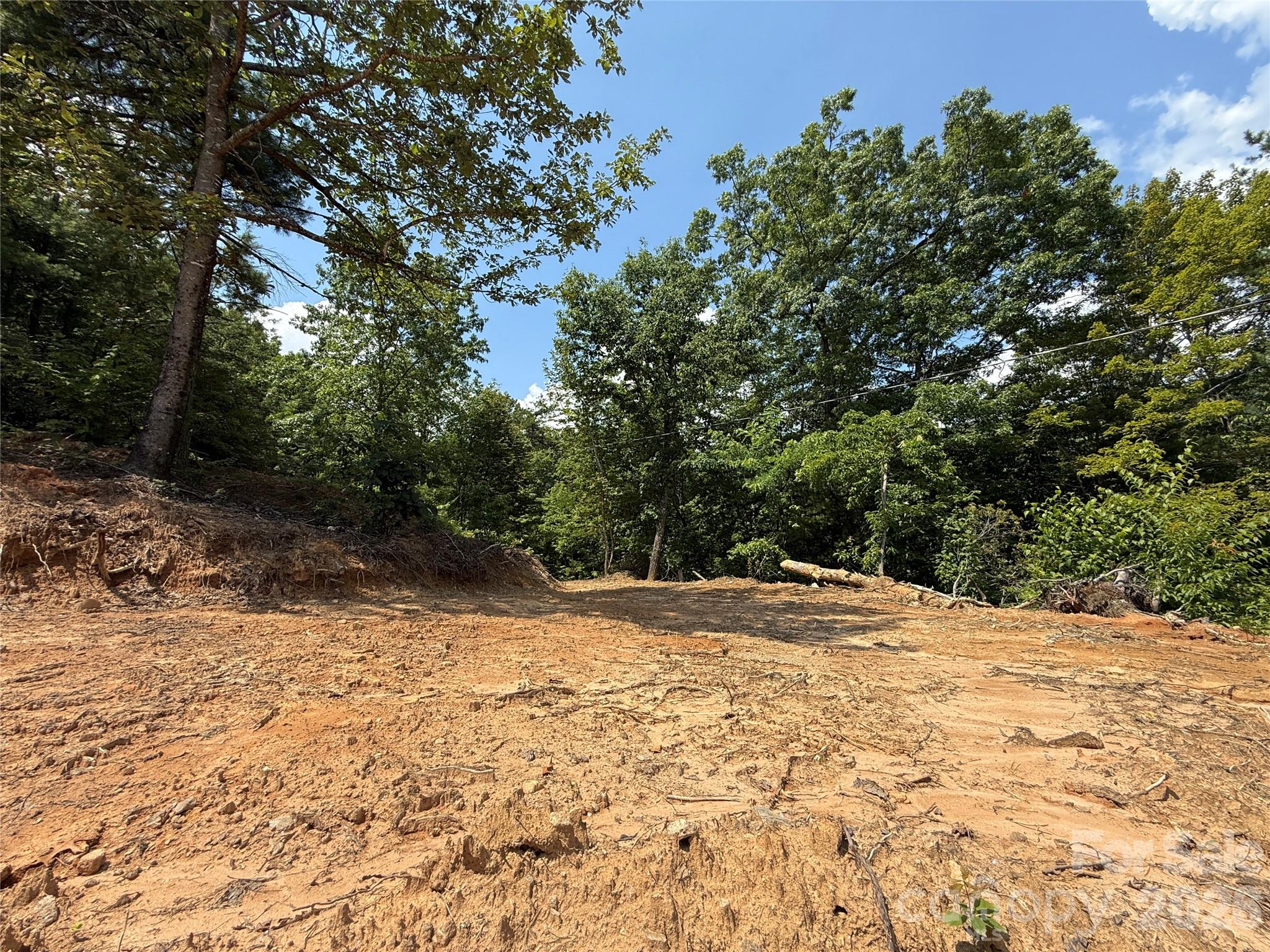 337 Lucas Path Drive, Unit 69 Purlear, NC 28665 - Photo 18 of 44 a view of a backyard of a house